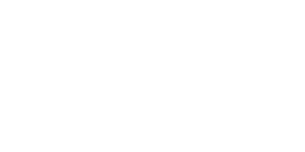 eFoil Logo White