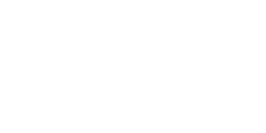 eFoil Logo White