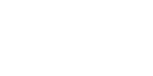 ePaddle Logo White